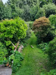 Jacquelien 08 Koning te rijk